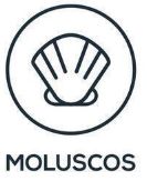 moluscos